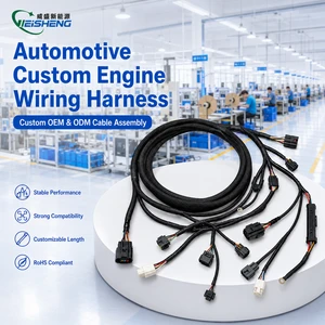 Customized Auto Engine Wiring Harness Cable Harness for Automobile Application in Stock