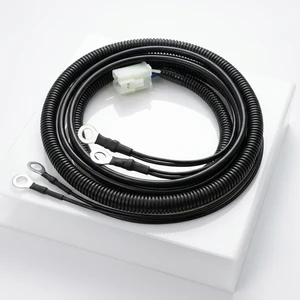 Professional Cable Manufacturer, Cable Harness Assembly, Samples Available for Industrial Machinery and Motorcycle Harnesses