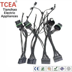 Custom FLR13Y-A 0.35mm PVC Wiring Harness with Housing H201701062401A Terminal T20170PT0101A for Automotive Headlight System