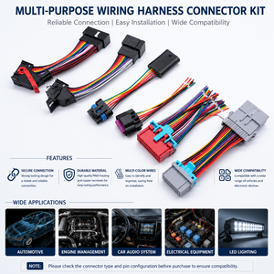 OEM Custom High Quality Automotive Multi Pin Wire Harness Cable Assembly Car Electrical Wiring Loom For Automotive