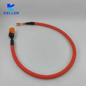 High Temperature Resistant Customized Cable Assembly Connecting Wire Hv Automotive Signal Wiring Harness for Line Diameter 10