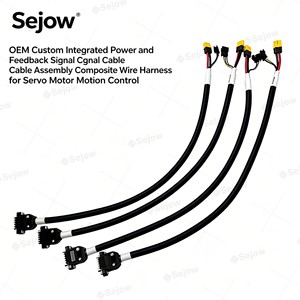 OEM Custom Integrated Power and Feedback Signal Cable Assembly Composite Wire Harness for Servo Motor Motion Control