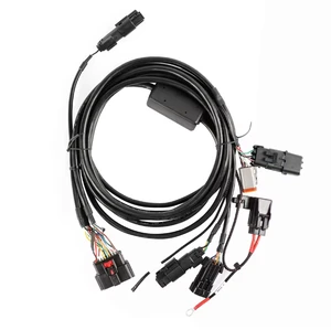 Professional Custom Car Wire Harness Cable Assembling Best Price Auto Wiring Harness for RV EV Trailer Forklift Excavator