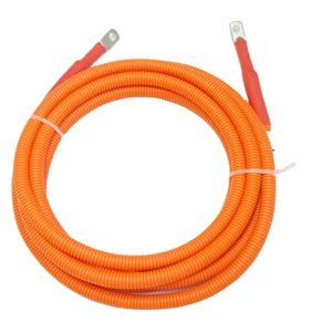 Custom New Energy Vehicle Bus High-Voltage Motor Harness with Tinned Copper Conductors JST/Molex Connectors 12V 1m Length