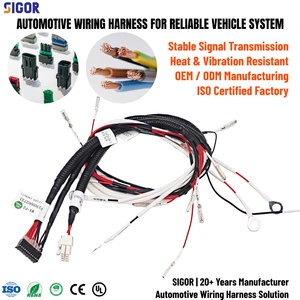 Drawing Custom Multi-Pin Connector Automotive Wire Harness Complete Vehicle ECU Sensor Cable Assembly for OEM Car Manufacturing