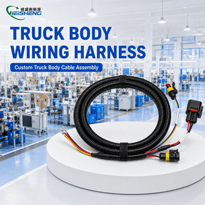 Custom Automotive Wiring Harness Cable Assembly OEM Wire Harness Manufacturer for Truck Machinery