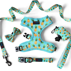 TOPBUDDY XXXS To XXL Custom No Pull Pet Harness Neoprene Dog Harness Set