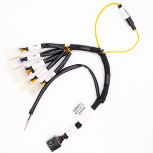 Factory Auto Cable Assembly All Kind of Wire Harness for Robot Home Appliance Equipment Wiring Harnesses Kits