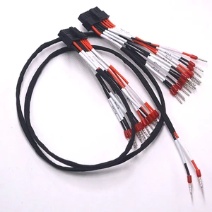 Factory Custom Automotive Wiring Harness PVC/PTFE Insulation High-Quality Multi-AWG for Automotive Electronics