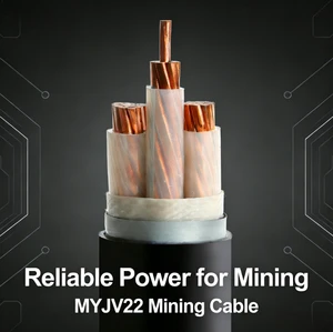Underground Cable MYJV/MYJV22 XLPE Insulated Copper Core Armored Mining Cable Compliant for Underground Industrial Building