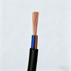 ZR Grade A Flame Resistant Electrical Cable RVV BV RVS Low Smoke Zero Halogen for Public Hospital Safety Wiring Projects