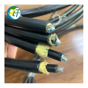 Qinhuangdao Wolf Cable Co. Ltd ADSS-16B1 PE-400 16 Cores 400 Span PE Jacket Parallel Use Factory Price