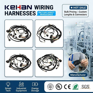OEM OEM Wire Harness Factory Professional for Drawing Customization Wire Harness