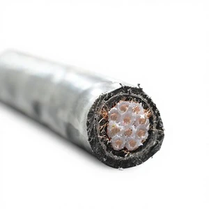 Control Cable Copper Conductor PVC XLPE Insulated Applied in Petroleum Chemical Metallurgy Industries