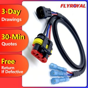 Customized Automotive PVC Insulated Wire Harness Stranded Conductor Vehicle Wiring Assembly for Auto Application