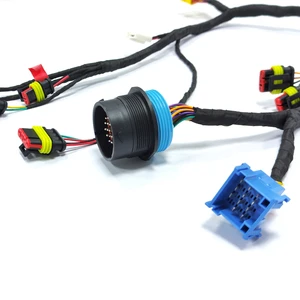 Custom Universal Automotive Wiring Harness with Terminals Internal Vehicle Car Assembly for Electronic Applications