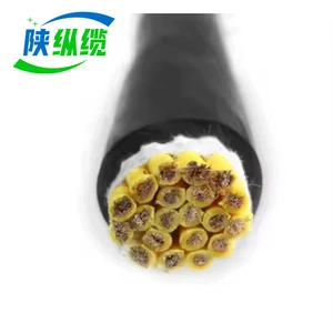 Copper Conductor Low Voltage PVC Sheath Roller Throttle Control Cable 450/750V0.6/1KV for Industrial Use
