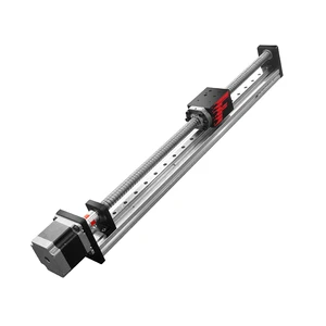 Wholesale Factory Supplier Linear Module Ball Screw Rail Guide With Servo Motor