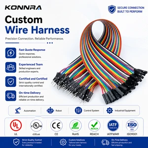 Custom Dupont 2.54mm Male Female Jumper Cable Automotive Wiring Harness Kit For Automation Equipment RoHS