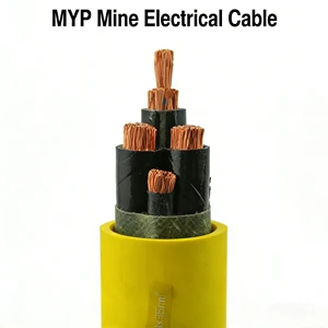 Coal Mine Special MYP Industrial Electrical Equipment Cable 0.66/1.14kV Flexible Copper Core EPR Insulation for Underground