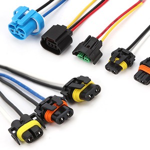 DJ7022Y-2.3-1121 Automotive Waterproof Connection Wire Vehicle Conversion Harness Processing