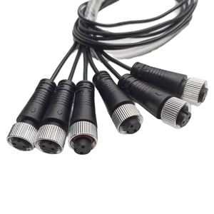 OEM ODM Custom M12 Sensor Connector 2 Pin a Code Female Straight Aviation Cable Assembly Extension Wire Harness for Automation
