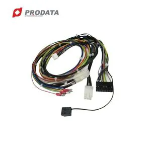 PRODATA Industrial 600V Custom-Made PVC/Copper Wiring Harness Cable Assembly for Automobile Control ISO9001 WIRE HARNESS