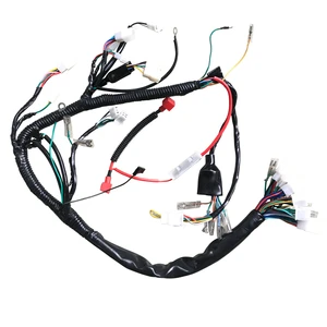 OEM Wiring Harness Manufacturer Custom Cable Assembly Sightseeing Bus Golf Cart Motorcycle Wire Harness