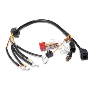 High Quality Oem Odm Auto Electrical Car Automotive Inner Wiring Harness Cable Assembly for Automotive Wiring
