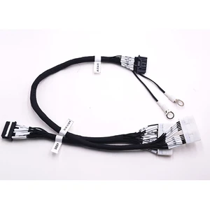 OEM Auto Electronics Wire Harness Custom Jst Molex Terminal Plug 2-30pin Cable Assembly for Automotive Use 4 Pin
