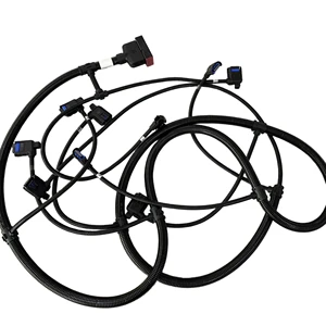 Professional Customizable Automotive Industrial Wiring Harness Manufacturer Factory