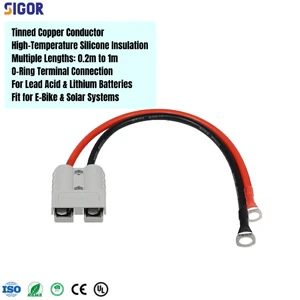 OEM Custom PVC/PTFE Tinned Copper IP66 Rated Wire Harness with O-Ring Terminal for E-Bike Lithium & Solar Systems