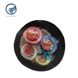 Tianhongxiang 16mm 4 Core 50 Sq.mm. Solid Rubber Waterproof Flexible Copper Conductor Insulation Rubber Cable 450/750V IEC60502