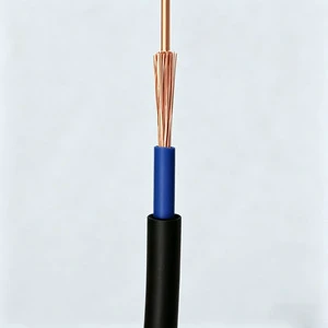 Wind Power Renewable Energy Electrical Wire RVV BVR RVVB BV RVS for Wind Turbine Generation System