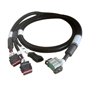 Customized High Voltage Electric Construction Vehicle BMS EV Cable PVC High Temperature Resistance OEM ODM Wiring Harness Cable