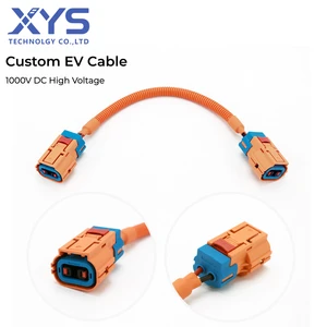 Customizable 2-Core 1000V DC High Voltage Connector Harness EV HV Cable Assembly with HVIL IP67 Rated for New Energy Vehicles