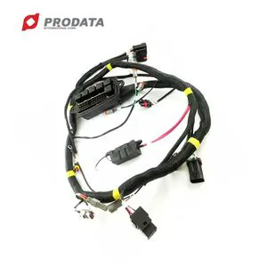 Customized Shielded Cable Auto Accessories Male Female Wire Harness PVC Black 3000W E-Bike Conversion Kit