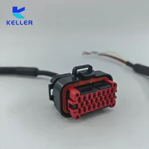 High Temperature Resistant Customized EV Automotive Signal Wiring Harness Plug/Outlet/Inlet Multi-Core Sealed Connector AC/DC