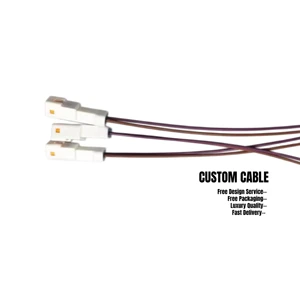 Custom Copper Automotive Electronic Computer Waterproof Wire Harness JST JWPF 2 Pin Connector 02R-JWPF-VSLE-S Cable Assembly