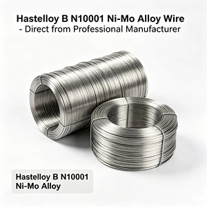 Hastelloy B N10001 Ni-Mo Alloy Wire High Corrosion Resistance For Hydrochloric Sulfuric Petrochemical Acids Processing Industry