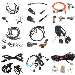 Harness Auto Wire Customized Electric Cable Assembly Motor Wiring Harness Car Auto Engine Wire Harness