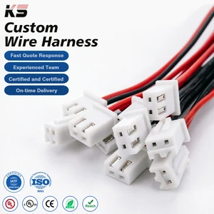 JST TE Molex Wire Harness SH ZH PH XH SM 1.0 1.5 2.0 2.54 Amass Lvds Cable Complete Wiring Harnesses for Electrical
