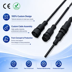 OEM Waterproof Full Wiring Harness for Automobile & Motorcycle New Energy Vehicles with PVC/Nylon Materials
