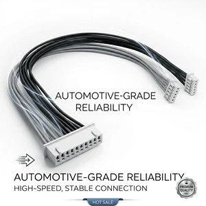 MX1.25mm Pitch Housing to MX1.25mm 10Pin One to Two Type Wire Harness Same Direction L200mm PVC Cable Assembly