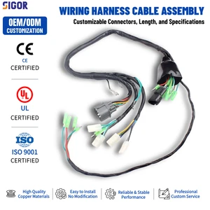 Custom Electrical Cable Harness Wear Resistant Heat Resistant PVC Jacket IP65 12V/24V Red Copper Wire Assembly for Motorcycle
