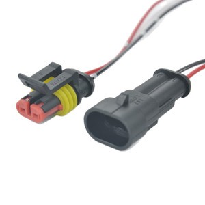 Customizable AMP 2P Automotive Waterproof PVC & Rubber Insulated IP67 Connector Docking Terminal Wire ASW18