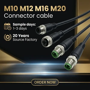 Terminal Harness M12 Waterproof Wire Power Plug Connection Wire Male Busbar Automotive Waterproof Wire Harness Manufacturer