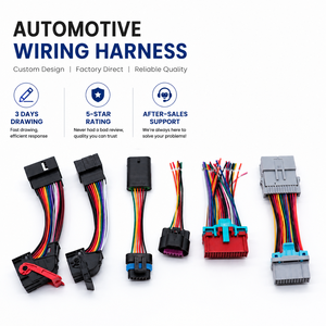 Factory Price Custom Multi Color Precision Automotive Equipment Wire Harness Cable Assembly For Vehicle Engine Control