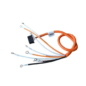 New Energy Vehicle Wiring Harness Induction Collection Induction System 22AWG 12Pins