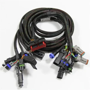 New Energy Car Automatic Harness Customized ECU Connector Wire Harness